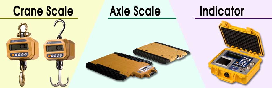 AXLE SCALE / INDICATOR