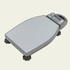 Weighing Scale (Hand Carry Gl-6000)